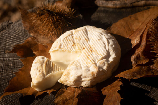 Fromagerie de Banon - Nos Fromages