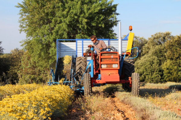 Exploitation Terres de Bonaventure